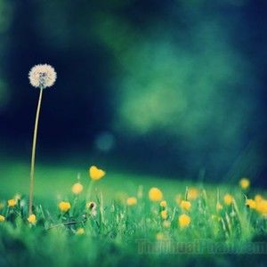 Meet your Posher, Jose